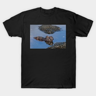 Marine Iguana T-Shirt